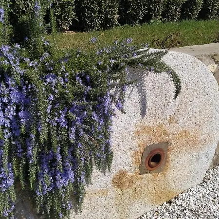 Le Macine Di San Salvadore بيت للعطل