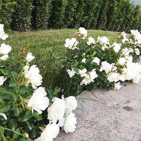 Le Macine Di San Salvadore بيت للعطل Malmantile